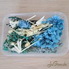 Mix sušených kvetov pre tvorenie (DS032)